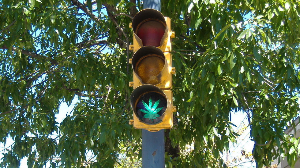 ¿Fumar marihuana afecta menos al volante que el alcohol?