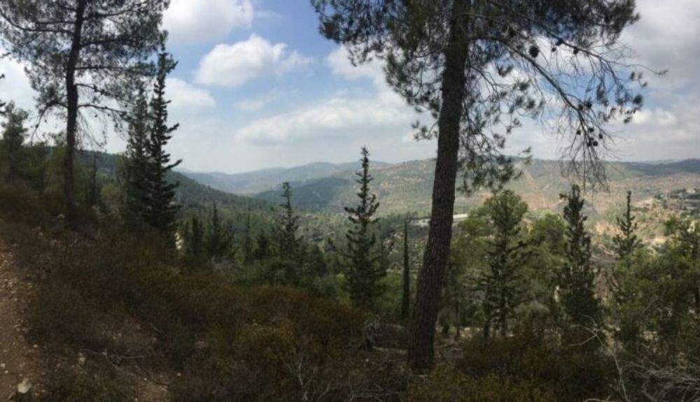 Una vista panorámica de las montañas de Judea desde el Sendero de los Manantiales.