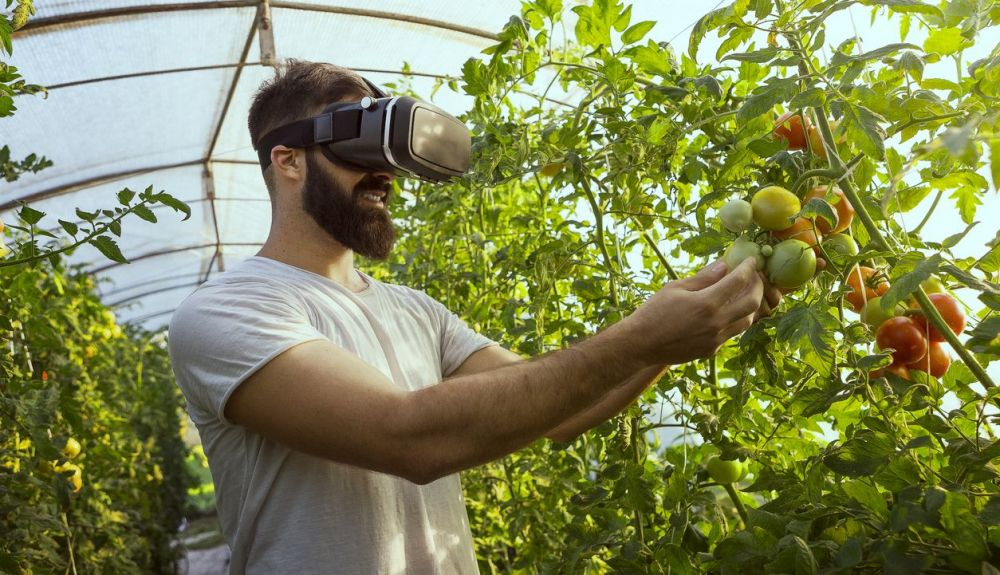 El Fórum Datagri se ha organizado para que los profesionales del sector agroalimentario entren en contacto con las tecnologías digitales. El Fórum Datagri se ha organizado para que los profesionales del sector agroalimentario entren en contacto con las tecnologías digitales.