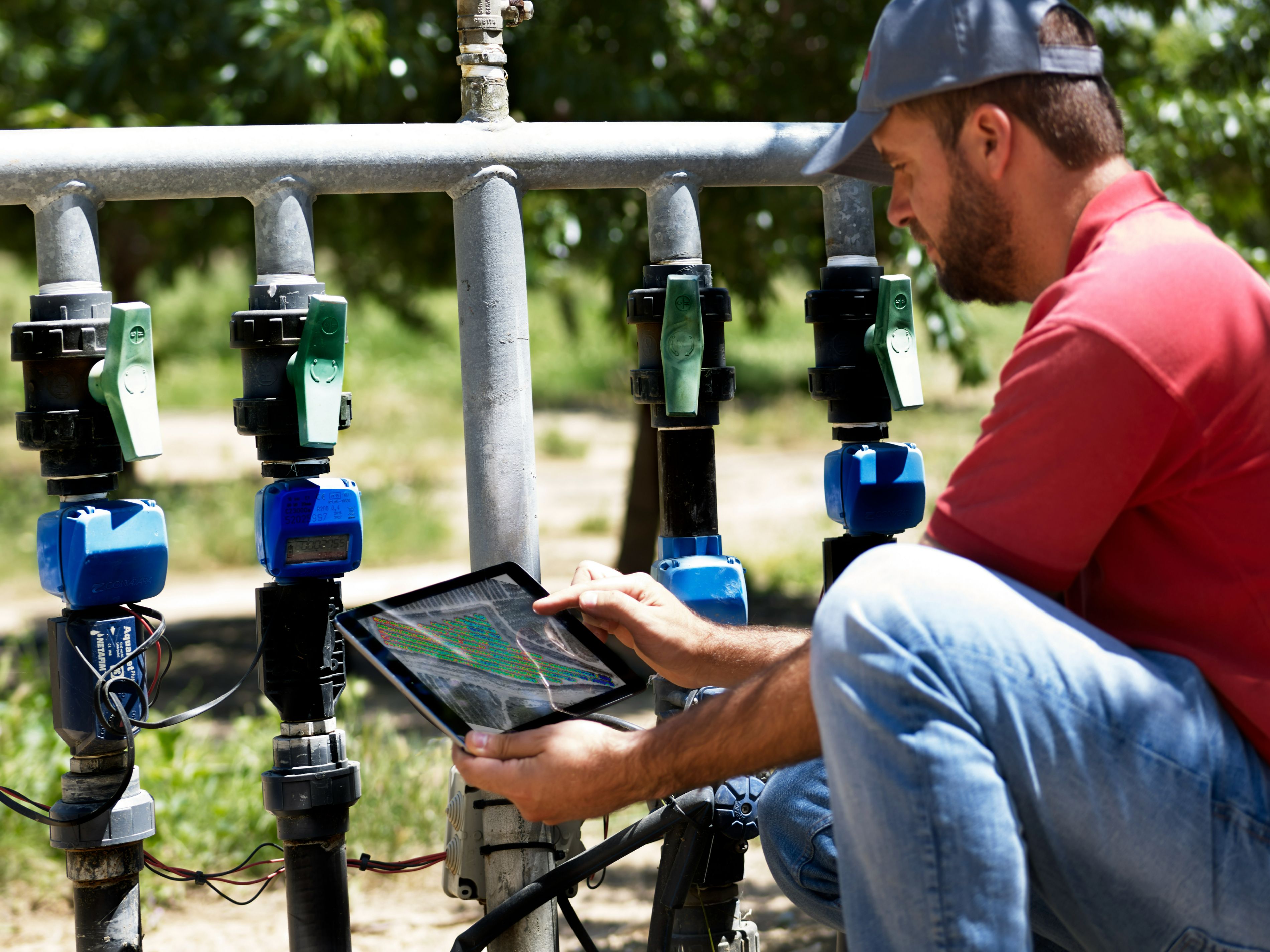 Con la transformación digital, el sector agroalimentario sea más eficiente y sostenible.