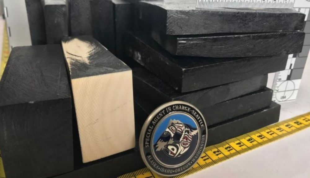 El marfil enviado a Estados Unidos había sido cortado en trozos más pequeños, pintado de negro y luego mezclado con un envío de madera de ébano. El marfil enviado a Estados Unidos había sido cortado en trozos más pequeños, pintado de negro y luego mezclado con un envío de madera de ébano.