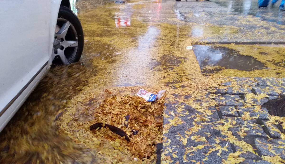 Cómo actuar con el coche en zonas inundadas sin peligro