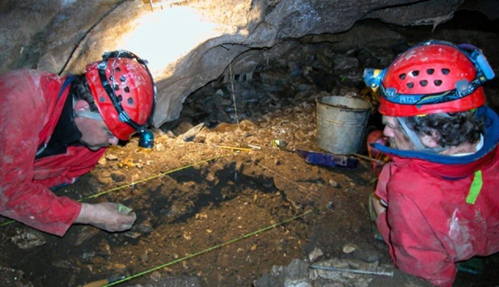 Durante dos décadas se ha excavado y analizado los artefactos arqueológicos encontrados en cuevas en Haida Gwaii. Durante dos décadas se ha excavado y analizado los artefactos arqueológicos encontrados en cuevas en Haida Gwaii.
