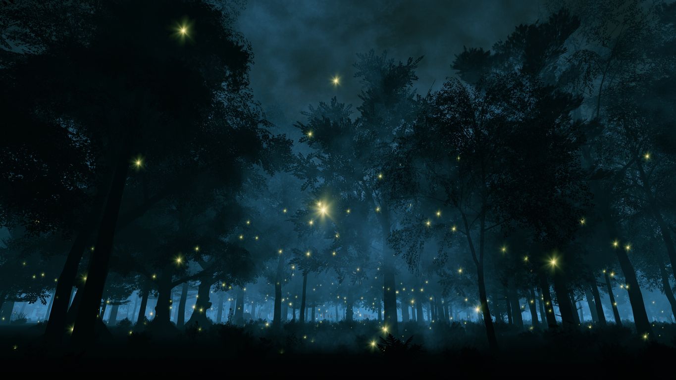 Luciérnagas en un bosque nocturno.