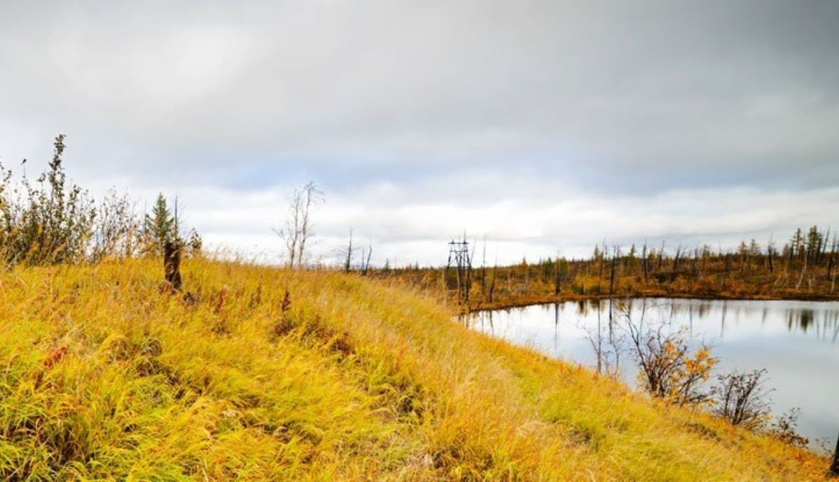 La nueva fuente del gas de efecto invernadero se ha encontrado en el permafrost de Yedoma, en Siberia Oriental.