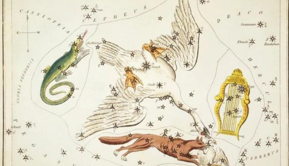 Constelaciones Lacerta, Cygnus, Lyra, Vulpecula y Anser. Constelaciones Lacerta, Cygnus, Lyra, Vulpecula y Anser.