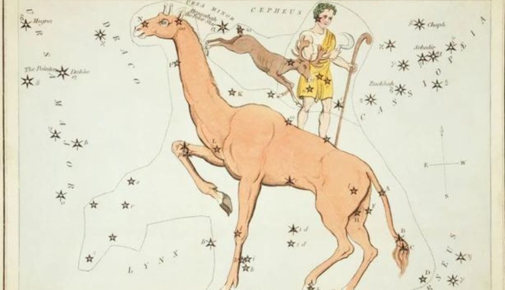 Camelopardalis, Tarandus y Custos Messium. Camelopardalis, Tarandus y Custos Messium.