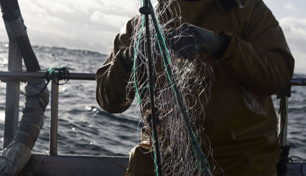 La pesca y la acuicultura a pequeña escala no son tenidas en cuenta por los responsables políticos. La pesca y la acuicultura a pequeña escala no son tenidas en cuenta por los responsables políticos.