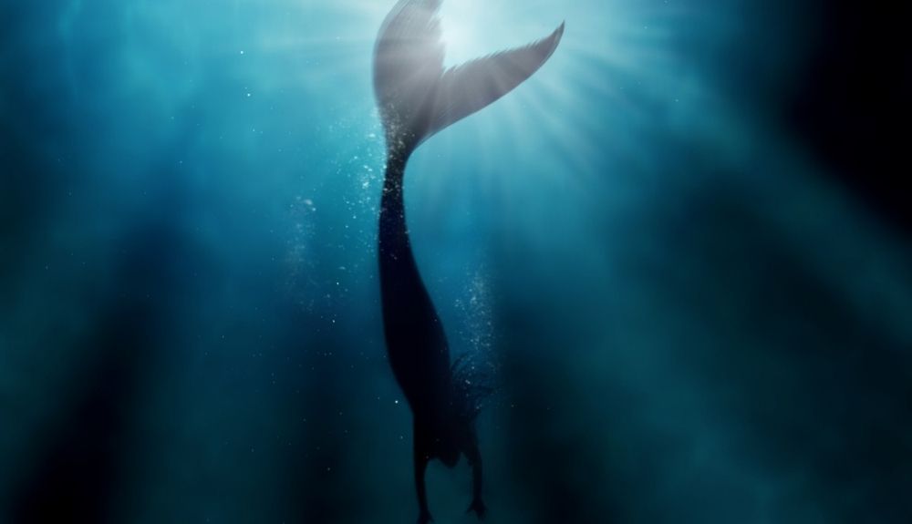 Las sirenas aparecen en cuentos populares que abarcan culturas y siglos.