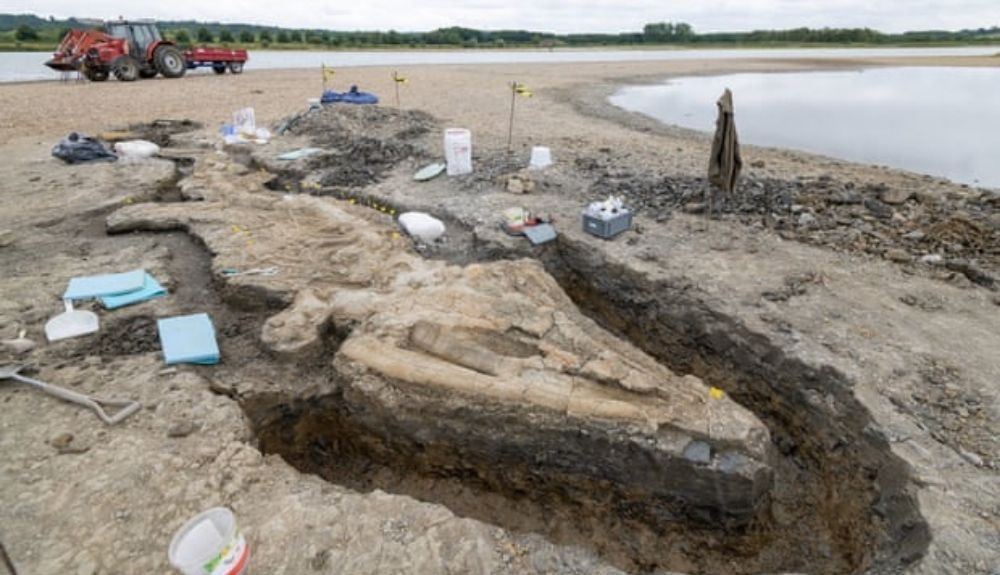 El fósil fue descubierto durante el drenaje rutinario de una isla lagunar en Rutland Water en febrero de 2021.