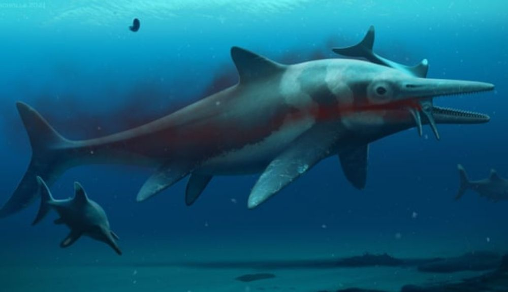 Impresión artística de un ictiosaurio, un animal prehistórico con un aspecto parecido al delfín.