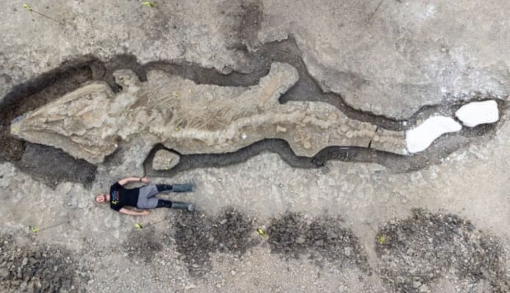 El esqueleto del ictiosaurio es el fósil más grande y completo de su tipo jamás encontrado en el Reino Unido.
