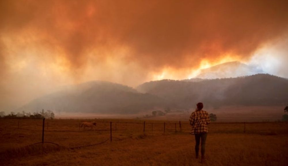 Los científicos dudan que los ecosistemas de los incendios de Australia se recuperen en su totalidad.
