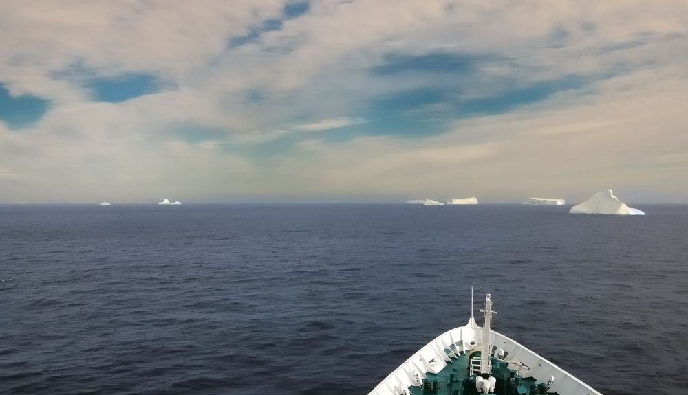 Mar de Weddell, frente a la Península Antártica, donde se encontraron los nidos de peces.