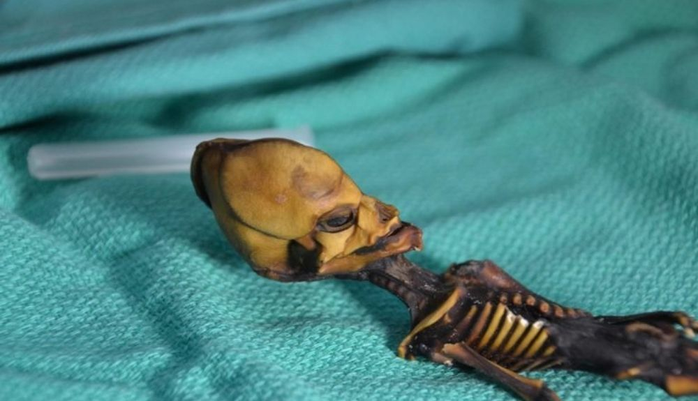 El pequeño esqueleto hallado en Chile tenía la densidad ósea de un niño de seis años. El pequeño esqueleto hallado en Chile tenía la densidad ósea de un niño de seis años.