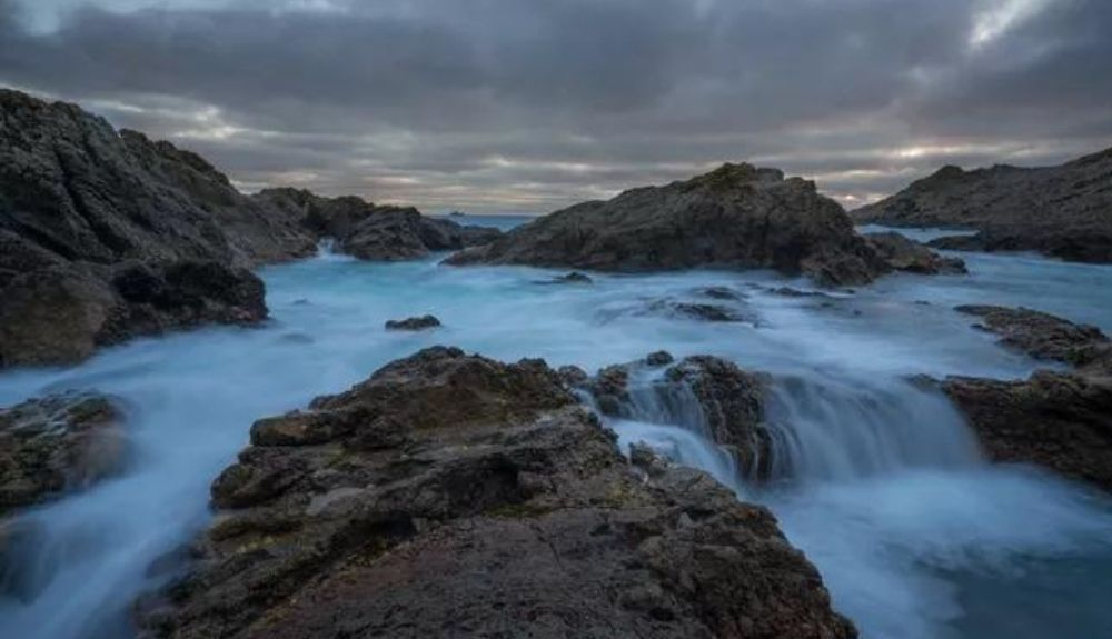 Las áreas intermareales de las Islas Selvagens poseen una de las representaciones menos impactadas de este ecosistema en la Macaronesia.