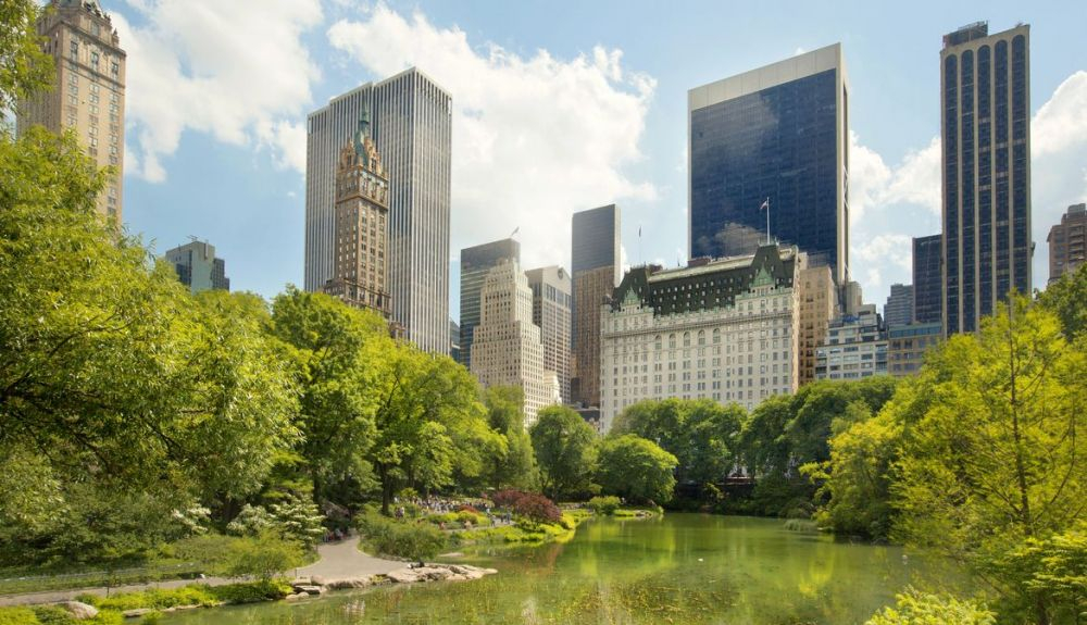 Se espera que esta investigación sobre Central Park ayude a otros espacios verdes urbanos.