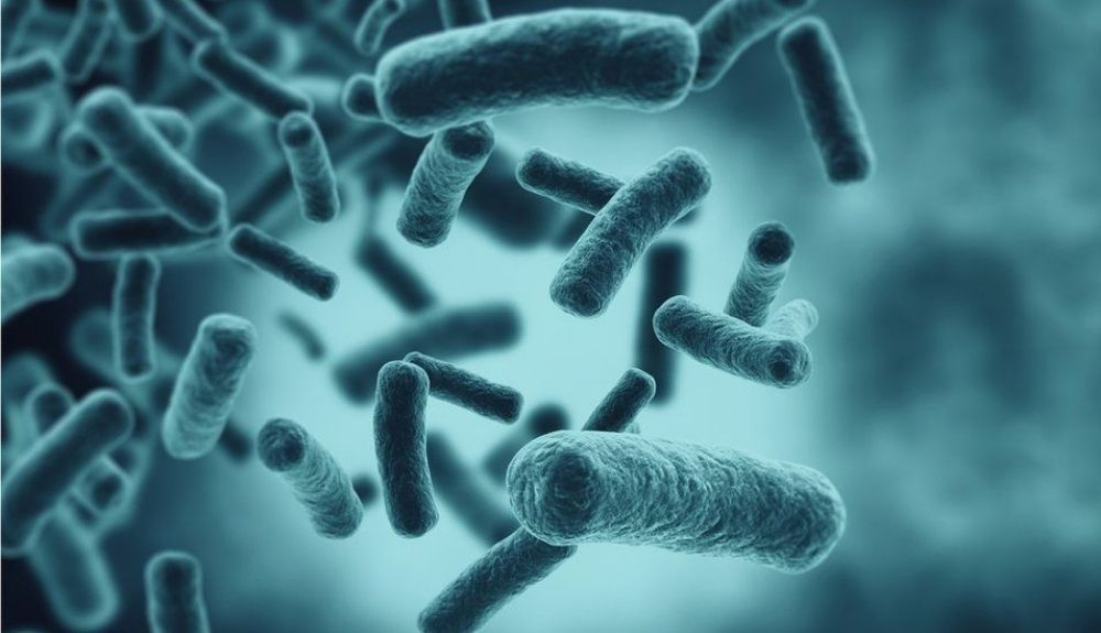 Algunas infecciones bacterianas graves se han vuelto resistentes al tratamiento con antibióticos. Algunas infecciones bacterianas graves se han vuelto resistentes al tratamiento con antibióticos.