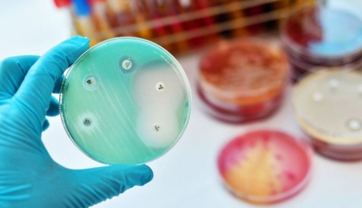 Las superbacterias resistentes a los medicamentos son una gran amenaza