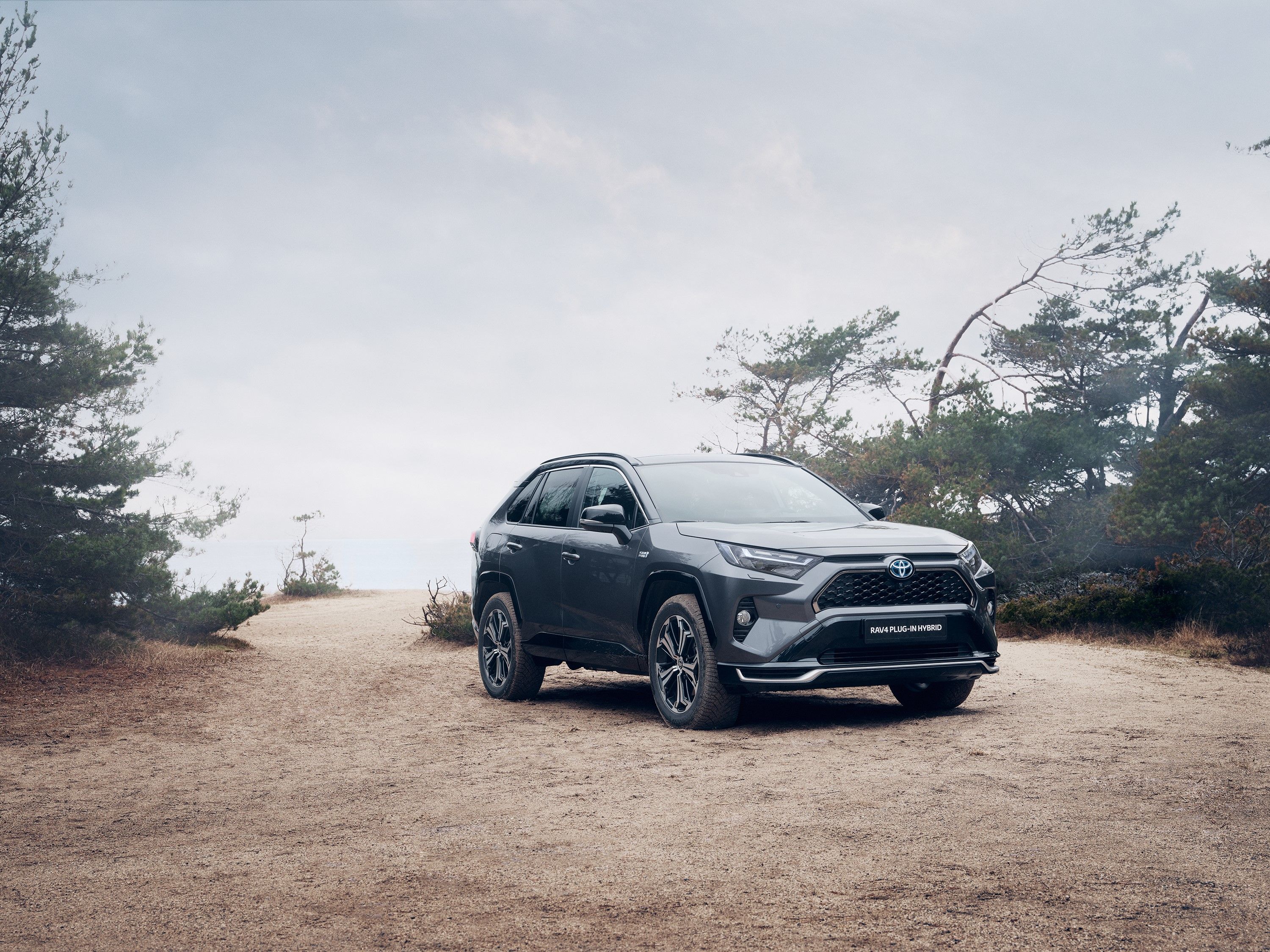 Toyota RAV4 Plug-in 2022