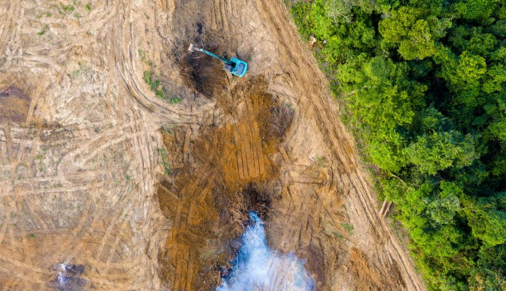 Vista de la deforestación de la selva en Brasil. Vista de la deforestación de la selva en Brasil.