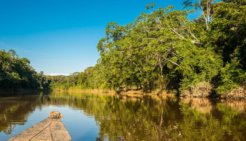 Selva amazónica en la Región Madre de Dios, la más afectada por la contaminación. Selva amazónica en la Región Madre de Dios, la más afectada por la contaminación.