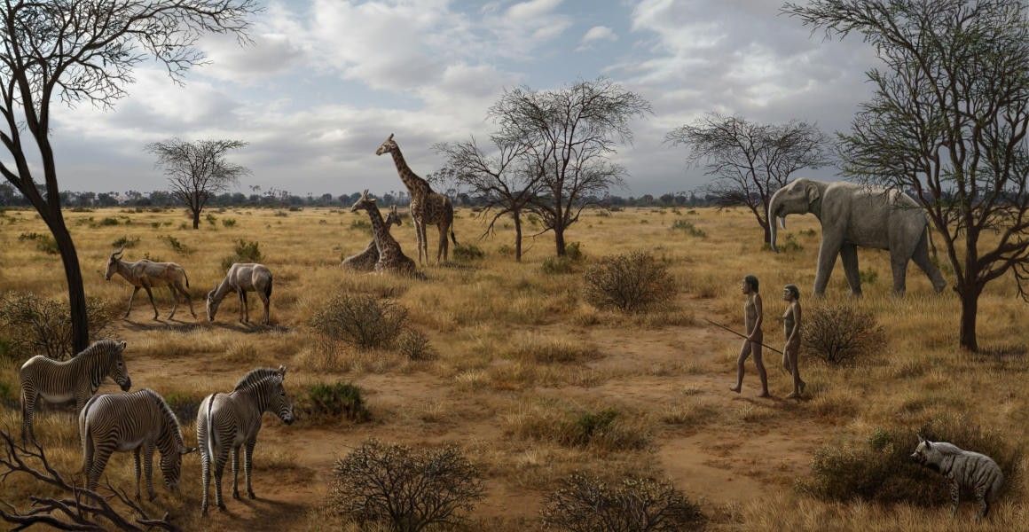 La evolución humana con el Homos erectus se dio en África hace unos dos millones de años.