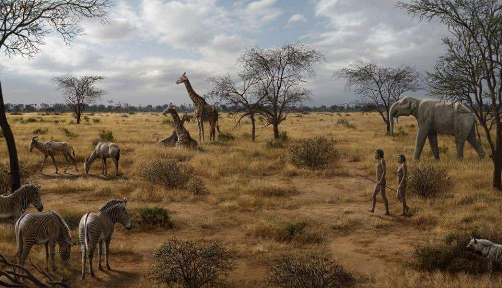 La evolución humana con el Homos erectus se dio en África hace unos dos millones de años.