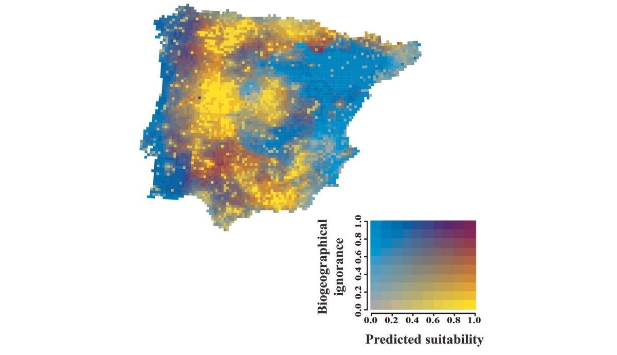 Ejemplo del sistema de predicciones sobre la especie de coleóptero coprófago.