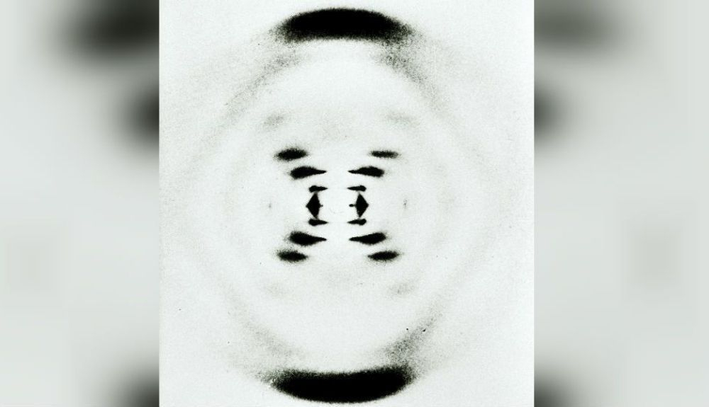 Las imágenes de rayos X de Rosalind Franklin fueron vitales para descifrar el ADN. Las imágenes de rayos X de Rosalind Franklin fueron vitales para descifrar el ADN.