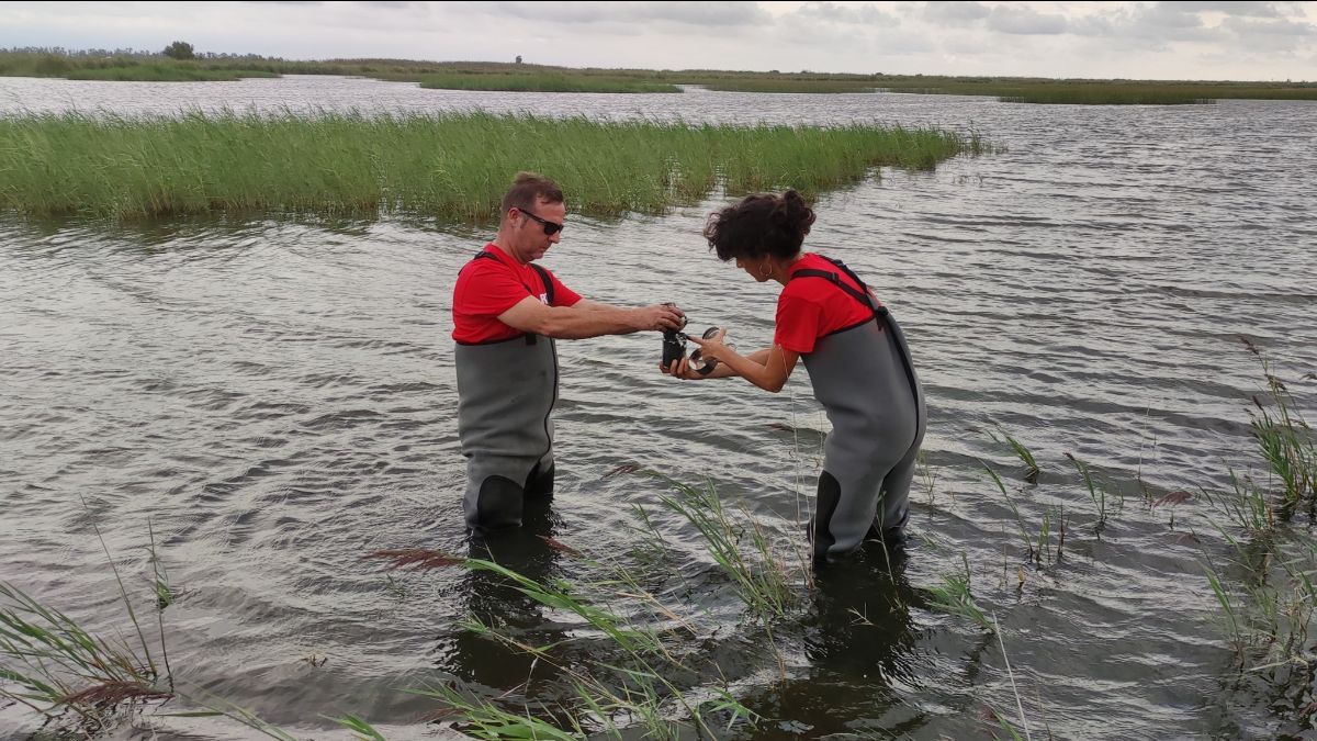 Un equipo del IRTA inició en 2021 el proyecto BIO DISPLAS para analizar los microplásticos en el Delta del Ebro.