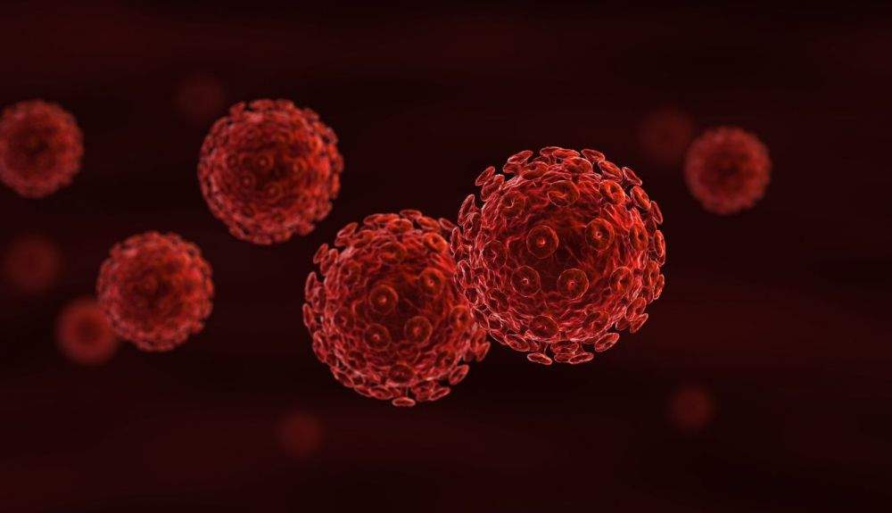 La nueva variante pasrece conducir a una reducción de las células inmunes llamadas células T CD4.