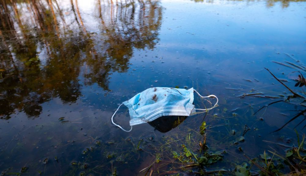 Mascarilla protectora en un lago. Uno de los objetivos fue estudiar los efectos de la degradación de éstas en las especies marinas. Mascarilla protectora en un lago. Uno de los objetivos fue estudiar los efectos de la degradación de éstas en las especies marinas.