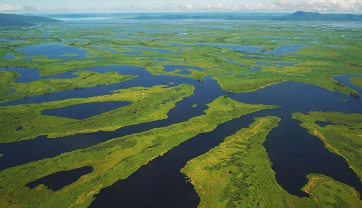 Los humedales tropicales, como el Pantanal en Brasil, son una fuente importante de emisiones de metano.