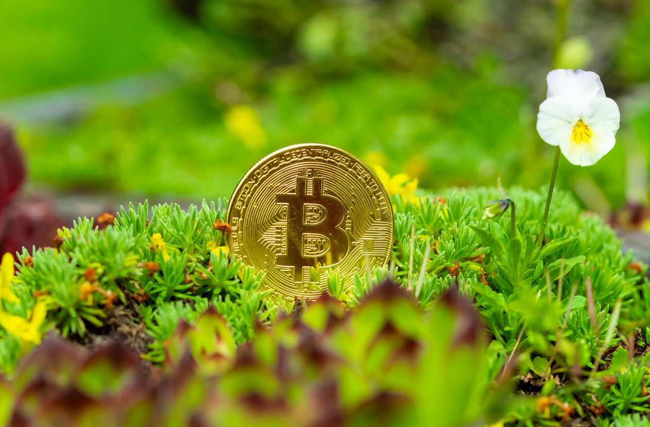 Los bitcoins cuentan con certificado verde y derechos de emisión de CO2 asociados.
