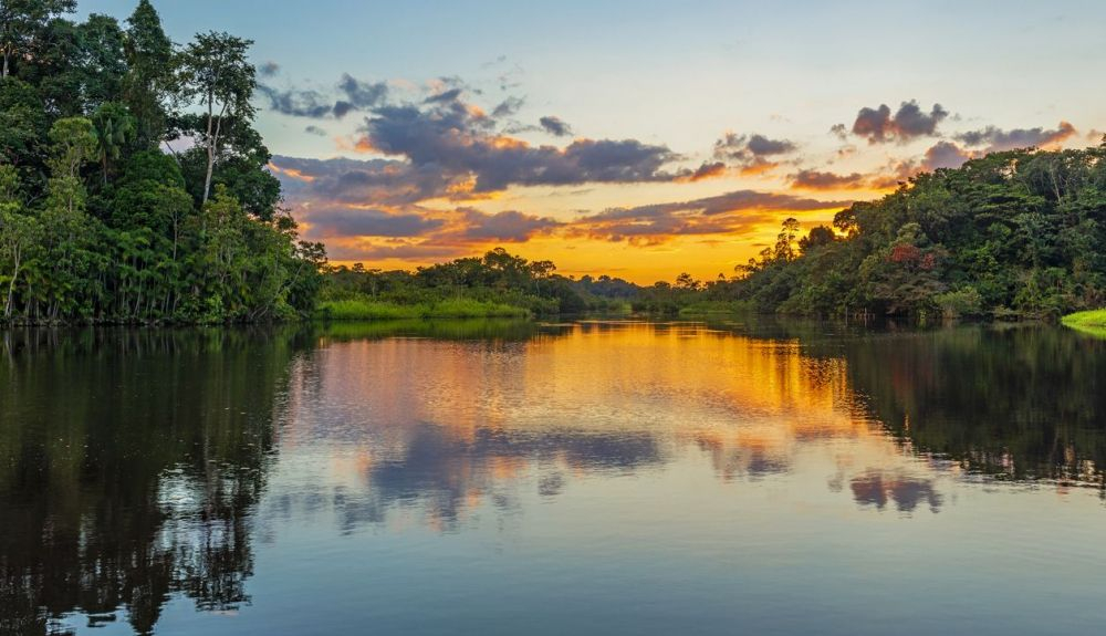La cuenca del río Amazonas comprende los países de Brasil, Bolivia, Colombia, Ecuador, Guyana, Surinam, Perú y Venezuela.