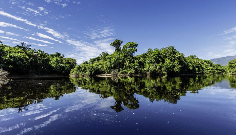 Tranquilas aguas en el Río Amazonas a su paso por Venezuela.