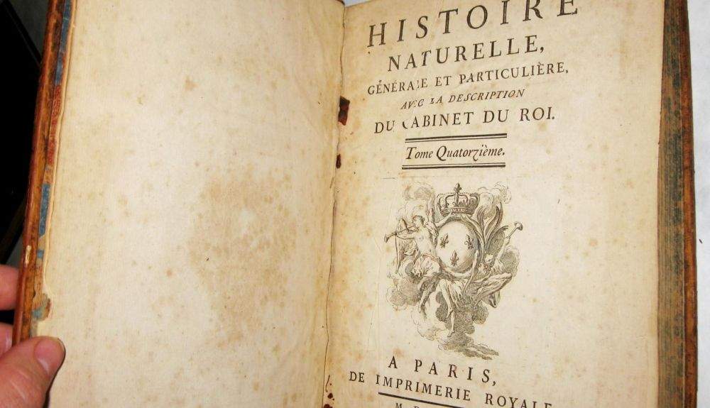 El patrón de extinción fue descrito por primera vez por Georges Louis Leclerc en su libro “Histoire naturelle” en el siglo XVIII.
