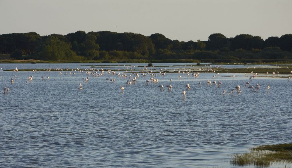 La UE considera  la protección de la biodiversidad primordial.