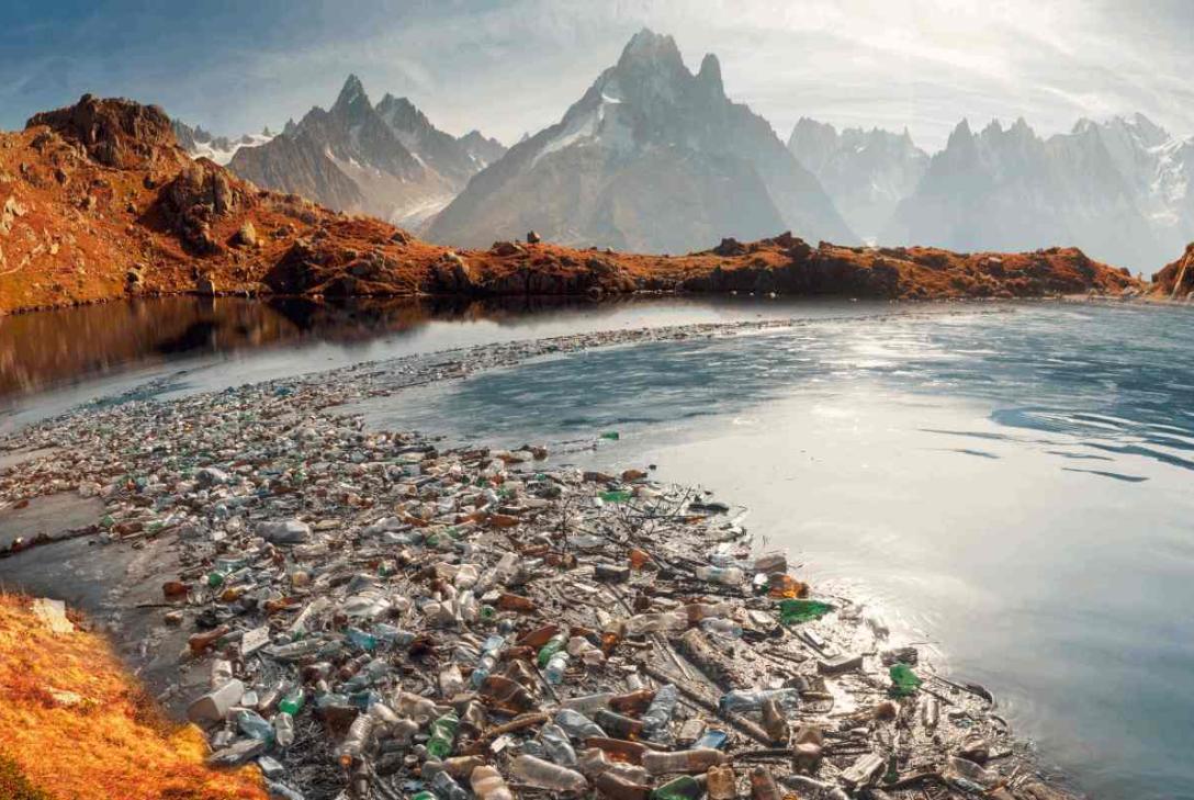 WWF alerta sobre el impacto de la contaminación de microplásticos en las especies y ecosistemas oceánicos.
