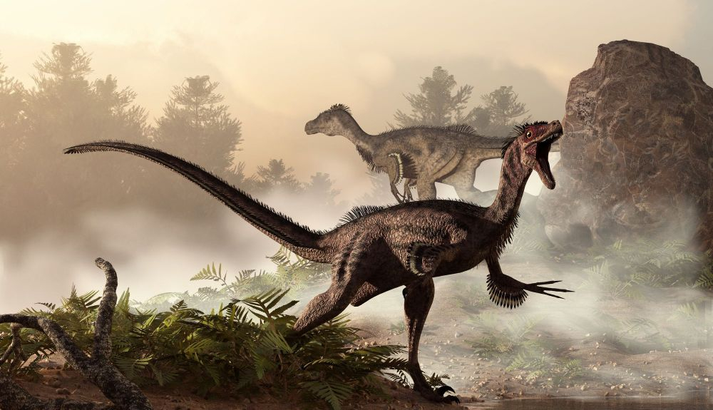 El Velociraptor es un dinosaurio muy parecido al Vectiraptor. El Velociraptor es un dinosaurio muy parecido al Vectiraptor.