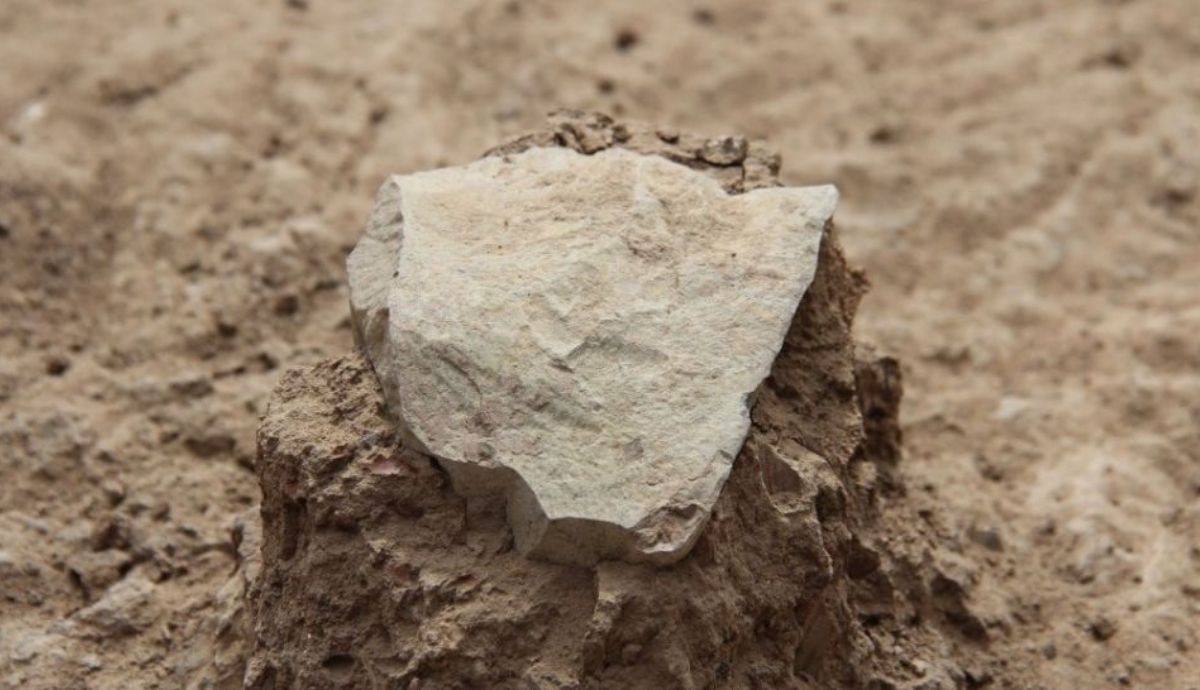 Una herramienta de piedra encontrada en Lomewi 3, que puede ser uno de los yacimientos arqueológicos más antiguos del mundo.