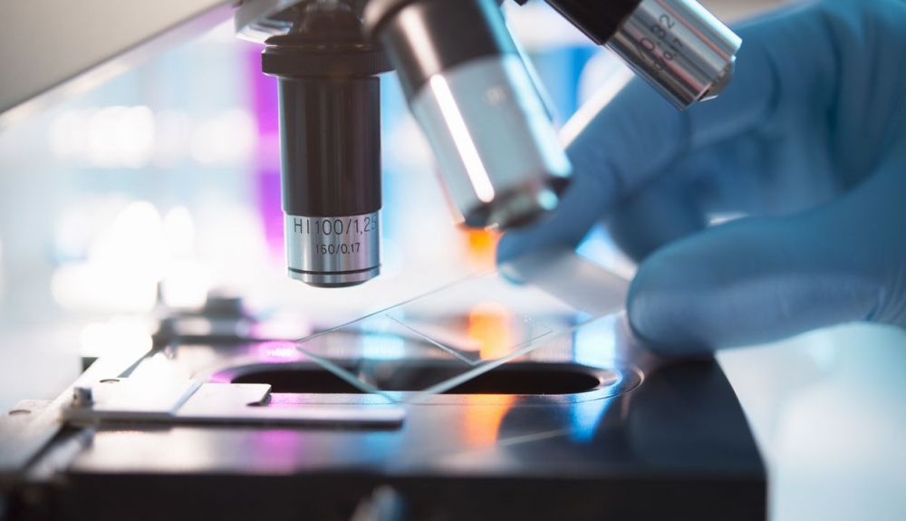 Los microscopios ópticos pueden obtener imágenes directamente de las posiciones y dimensiones de objetos pequeños. Los microscopios ópticos pueden obtener imágenes directamente de las posiciones y dimensiones de objetos pequeños.