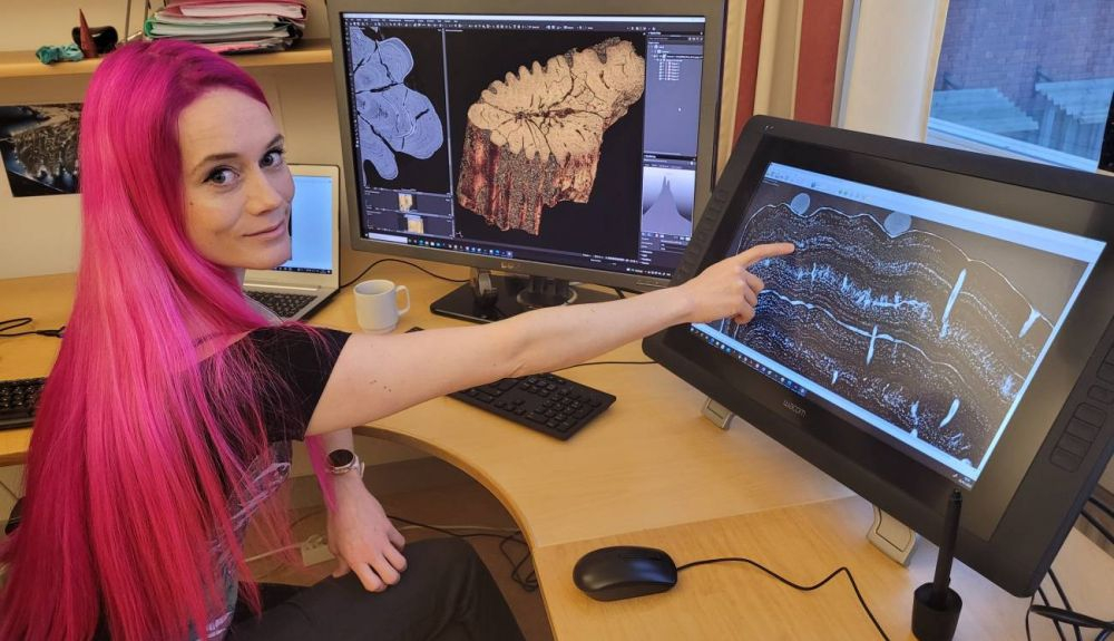 La investigadora Melanie During señalando las células óseas de los restos fósiles de un pez espátula. La investigadora Melanie During señalando las células óseas de los restos fósiles de un pez espátula.