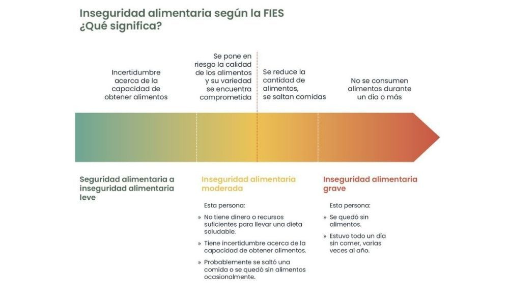 Inseguridad alimentaria según la FIES. (2)