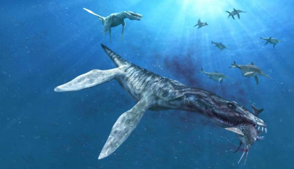 Los pilosaurios fueron los principales depredadores de los océanos durante un tiempo. Los pilosaurios fueron los principales depredadores de los océanos durante un tiempo.