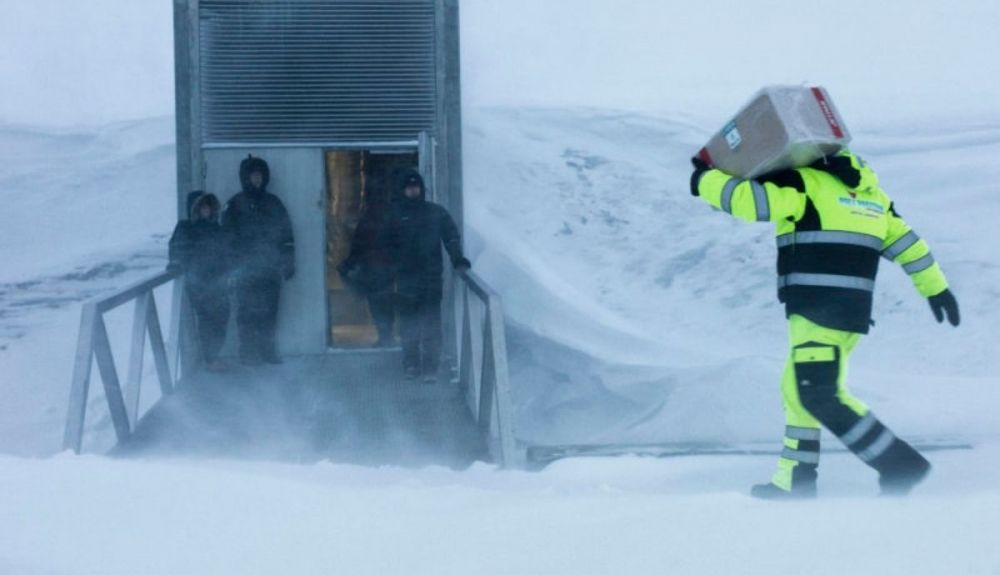 Es la primera vez que España envía semillas a la Cúpula de Svalbard. Es la primera vez que España envía semillas a la Cúpula de Svalbard.