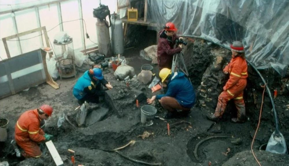 La excavación donde se encontraron los restos del mastondonte. La excavación donde se encontraron los restos del mastondonte.