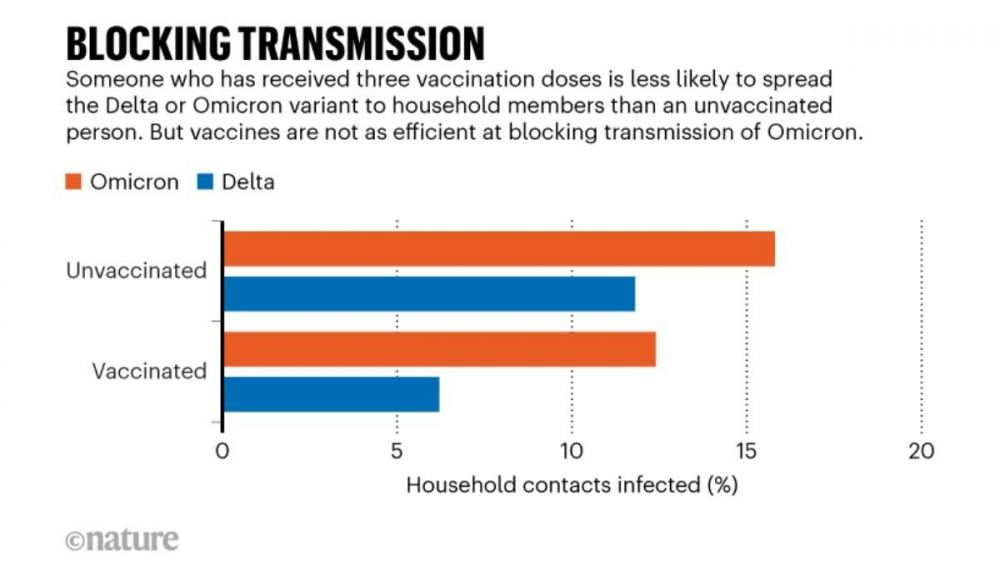 El gráfico muestra que las personas vacunadas tienen menos probabilidades de propagar la variante Delta u Ómicron a su hogar. El gráfico muestra que las personas vacunadas tienen menos probabilidades de propagar la variante Delta u Ómicron a su hogar.