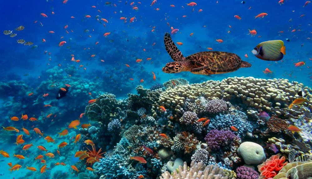El estudio apunta que podría haber una pérdida catastrófica de la función de los ecosistemas naturales. El estudio apunta que podría haber una pérdida catastrófica de la función de los ecosistemas naturales.